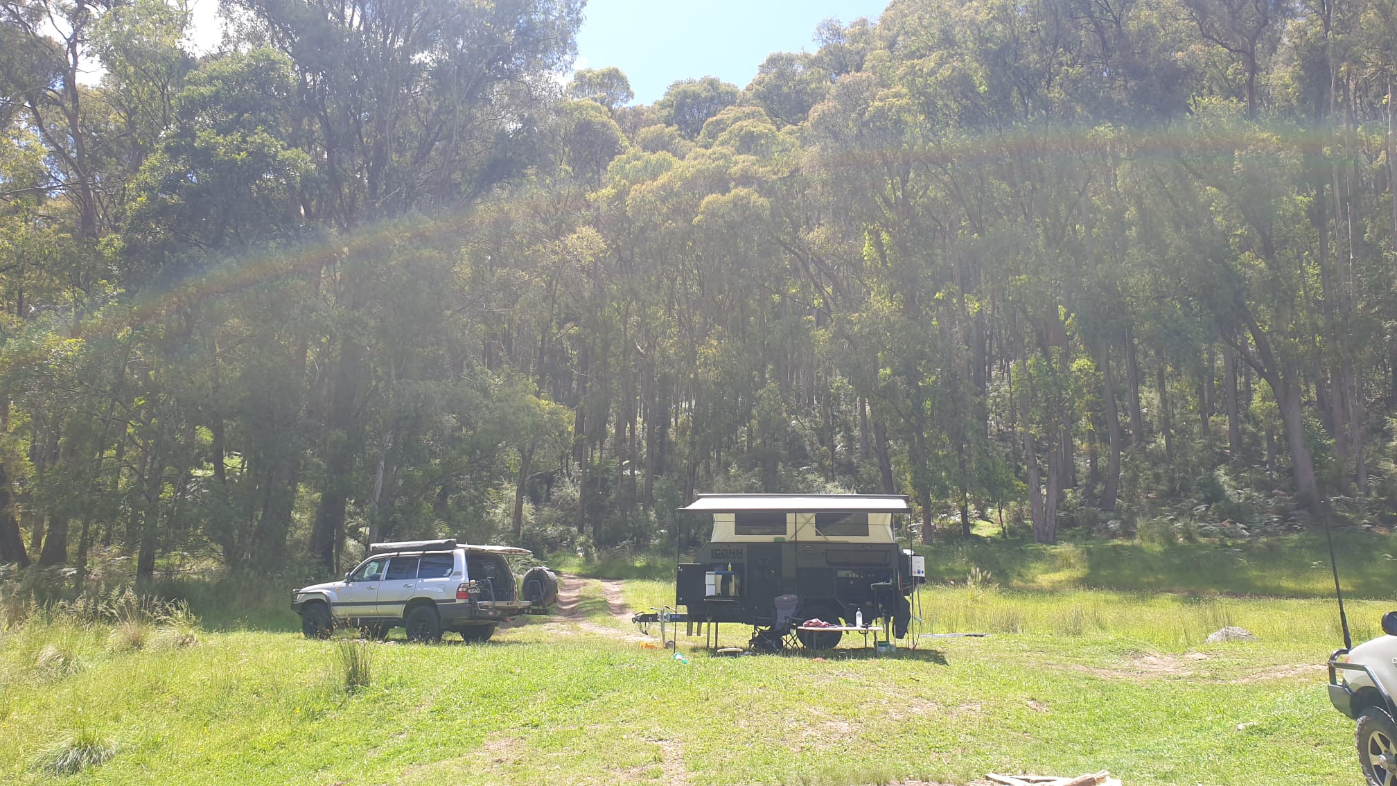 Camper set up among the trees